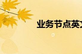 业务节点英文（业务节点）