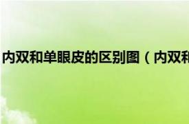 内双和单眼皮的区别图（内双和单眼皮的区别相关内容简介介绍）