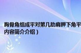 胸骨角组成平对第几肋肩胛下角平对第几肋（胸骨角两侧平对第几肋骨相关内容简介介绍）