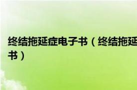 终结拖延症电子书（终结拖延症 2011年机械工业出版社出版的图书）