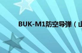 BUK-M1防空导弹（山毛榉-M1-2型防空导弹）