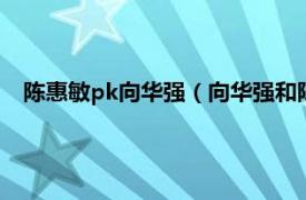 陈惠敏pk向华强（向华强和陈惠敏谁厉害相关内容简介介绍）