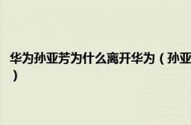 华为孙亚芳为什么离开华为（孙亚芳为什么突然退出华为相关内容简介介绍）