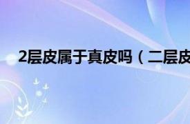 2层皮属于真皮吗（二层皮是真皮吗相关内容简介介绍）