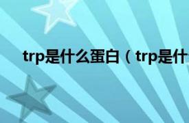 trp是什么蛋白（trp是什么氨基酸相关内容简介介绍）