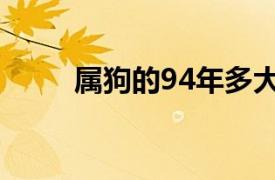 属狗的94年多大了（94年多大了）