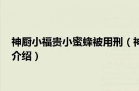 神厨小福贵小蜜蜂被用刑（神厨小福贵小蜜蜂结局相关内容简介介绍）