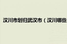 汉川市划归武汉市（汉川哪些乡镇划入武汉相关内容简介介绍）