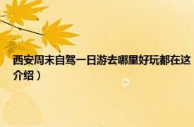 西安周末自驾一日游去哪里好玩都在这（夏天西安周边游哪里好玩一日游相关内容简介介绍）