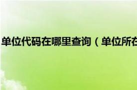 单位代码在哪里查询（单位所在地代码怎么查相关内容简介介绍）