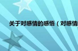 关于对感情的感悟（对感情的感悟经典相关内容简介介绍）