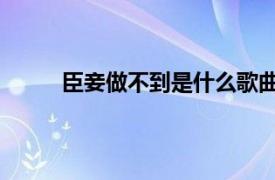 臣妾做不到是什么歌曲（臣妾做不到 杨蓉歌曲）