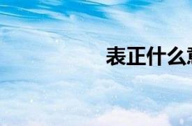 表正什么意思（表正）