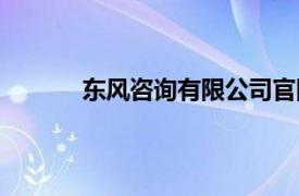 东风咨询有限公司官网（东风咨询有限公司）