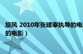 旋风 2010年张建宰执导的电影是什么（旋风 2010年张建宰执导的电影）