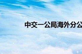 中交一公局海外分公司雅杜项目要几年竣工