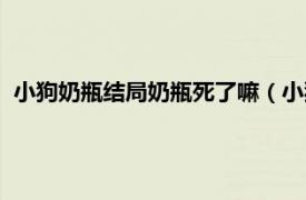 小狗奶瓶结局奶瓶死了嘛（小狗奶瓶大结局相关内容简介介绍）