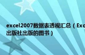 excel2007数据表透视汇总（Excel数据透视表应用大全 2009年人民邮电出版社出版的图书）