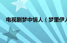 电视剧梦中情人（梦里伊人 1991年蒋家骏执导电视剧）