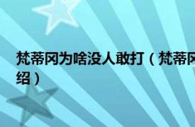 梵蒂冈为啥没人敢打（梵蒂冈为什么没人敢攻打相关内容简介介绍）