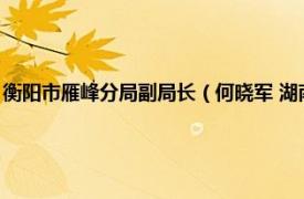 衡阳市雁峰分局副局长（何晓军 湖南省衡阳市雁峰区市场监督管理局局长）