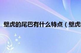 壁虎的尾巴有什么特点（壁虎的尾巴像什么相关内容简介介绍）