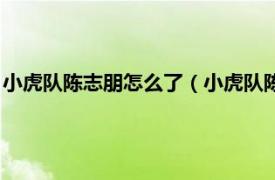 小虎队陈志朋怎么了（小虎队陈志朋怎么死的相关内容简介介绍）