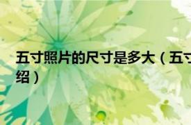 五寸照片的尺寸是多大（五寸照片的尺寸是多少相关内容简介介绍）