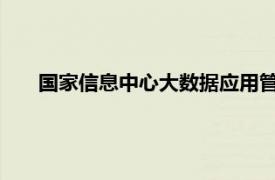 国家信息中心大数据应用管理中心研究规划部主任于施洋