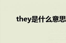 they是什么意思（it是什么意思呢）