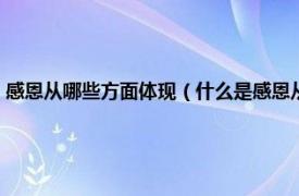 感恩从哪些方面体现（什么是感恩从哪些方面表达感恩相关内容简介介绍）