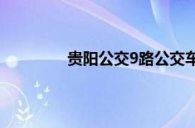 贵阳公交9路公交车路线（贵阳公交9路）