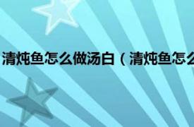 清炖鱼怎么做汤白（清炖鱼怎么炖鱼汤才会白相关内容简介介绍）