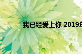 我已经爱上你 2019年白志杰演唱的歌曲歌词