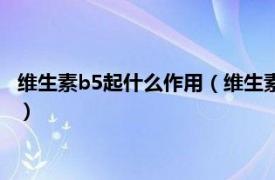 维生素b5起什么作用（维生素b5的作用及功能相关内容简介介绍）