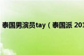 泰国男演员tay（泰国派 2017年Yorch,Ploy主演泰国电影）