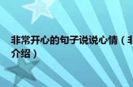 非常开心的句子说说心情（非常开心说说心情句子相关内容简介介绍）