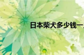 日本柴犬多少钱一只（柴犬多少钱一只）