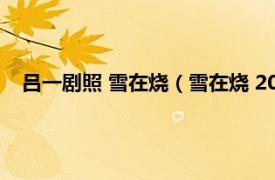 吕一剧照 雪在烧（雪在烧 2007年吕一、陈紫函主演电视剧）