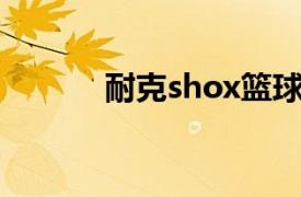 耐克shox篮球鞋（shox 球鞋）