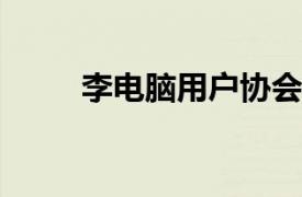 李电脑用户协会模拟机分会副会长