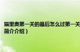 猫里奥第一关的最后怎么过第一关详细攻略（猫里奥第二关怎么过相关内容简介介绍）