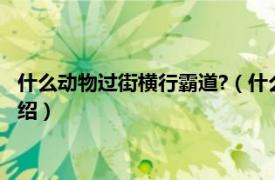 什么动物过街横行霸道?（什么动物过街横行霸道相关内容简介介绍）