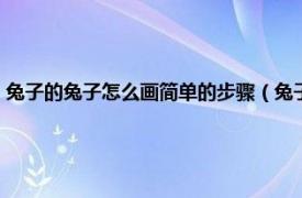 兔子的兔子怎么画简单的步骤（兔子怎么画一步一步教相关内容简介介绍）