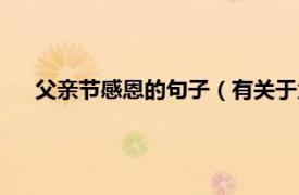 父亲节感恩的句子（有关于父亲节感恩相关内容简介介绍）