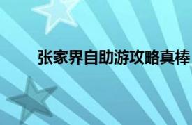 张家界自助游攻略真棒（张家界自助游全攻略网）