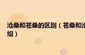 沧桑和苍桑的区别（苍桑和沧桑各是什么意思桑相关内容简介介绍）