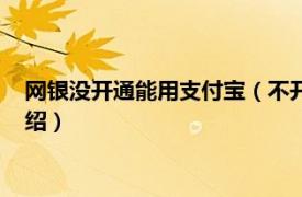 网银没开通能用支付宝（不开网银能用支付宝吗相关内容简介介绍）