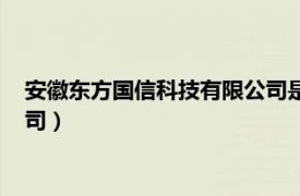 安徽东方国信科技有限公司是国企吗（安徽东方国信科技有限公司）