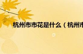 杭州市市花是什么（杭州市花是什么相关内容简介介绍）